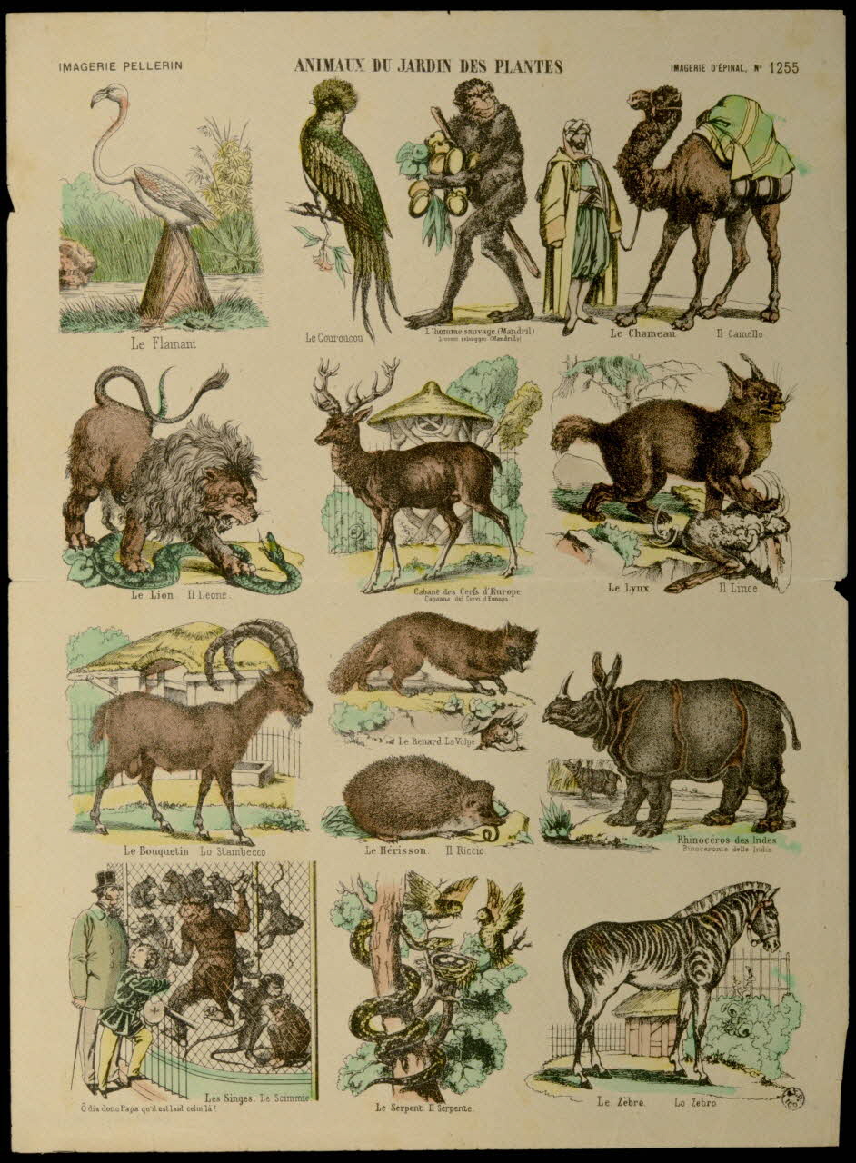 Pellerin planche ANIMAUX DU JARDIN DES PLANTES Lorraine, France 1938 1938.25.70 Photo