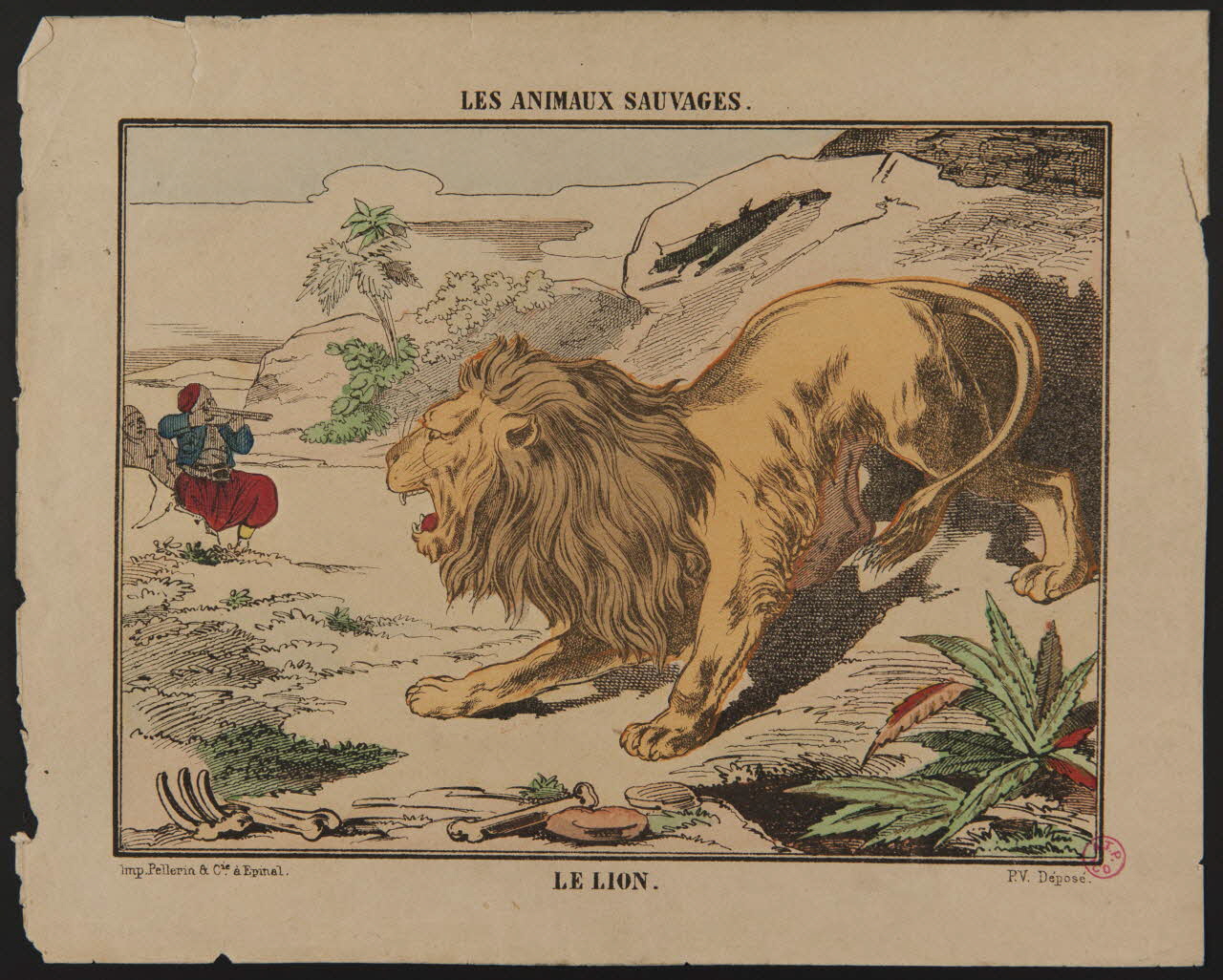 Pellerin ; François Pellerin estampe LES ANIMAUX SAUVAGES.  LE LION. Lorraine, France 1837 1938.8.10 Photo