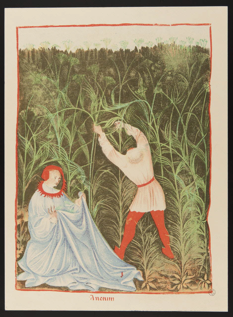 Hunot partie d'un ensemble d'estampes Anetum France 1938 1939.9.2 Photo