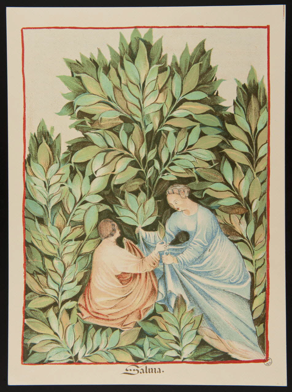 Hunot partie d'un ensemble d'estampes Salma. France 1938 1939.9.4 Photo