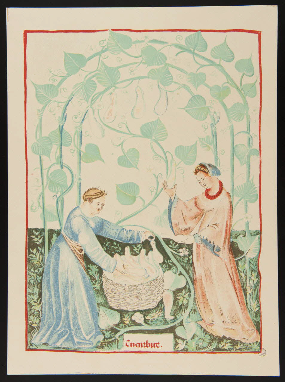 Hunot partie d'un ensemble d'estampes Cuanbure. France 1938 1939.9.5 Photo