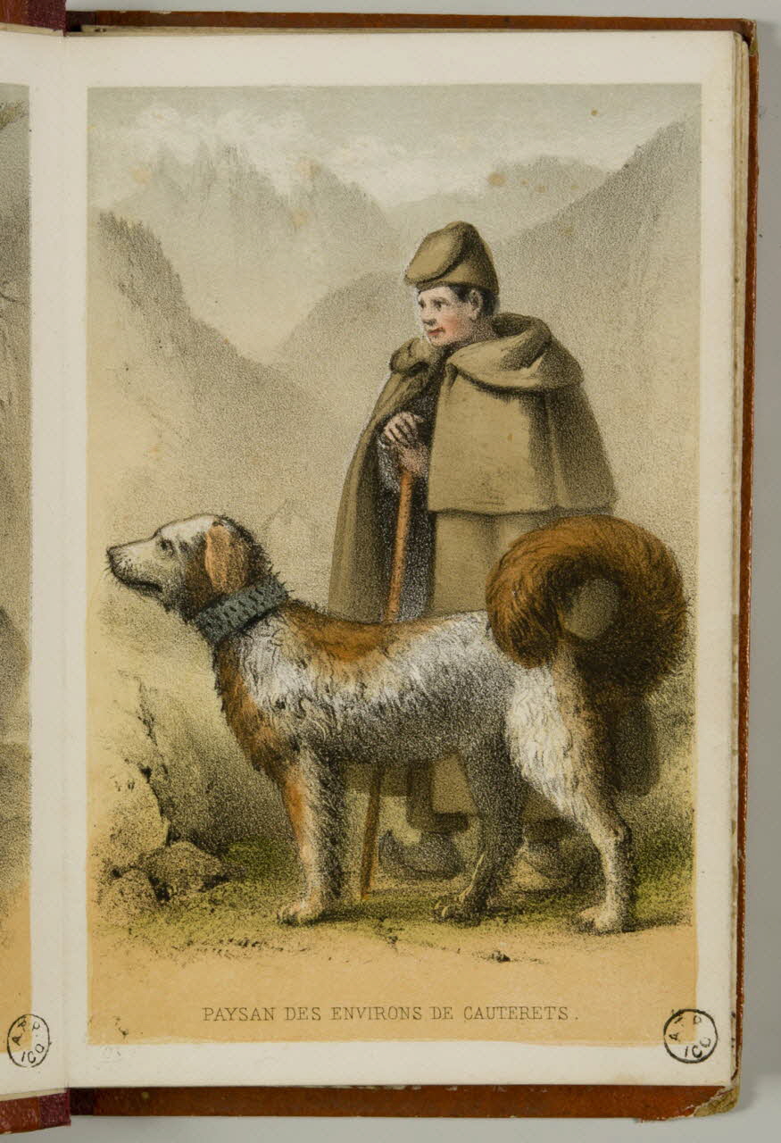 partie d'un ensemble d'estampes PAYSAN DES ENVIRONS DE CAUTERETS. 1941.21.24.2 Photo