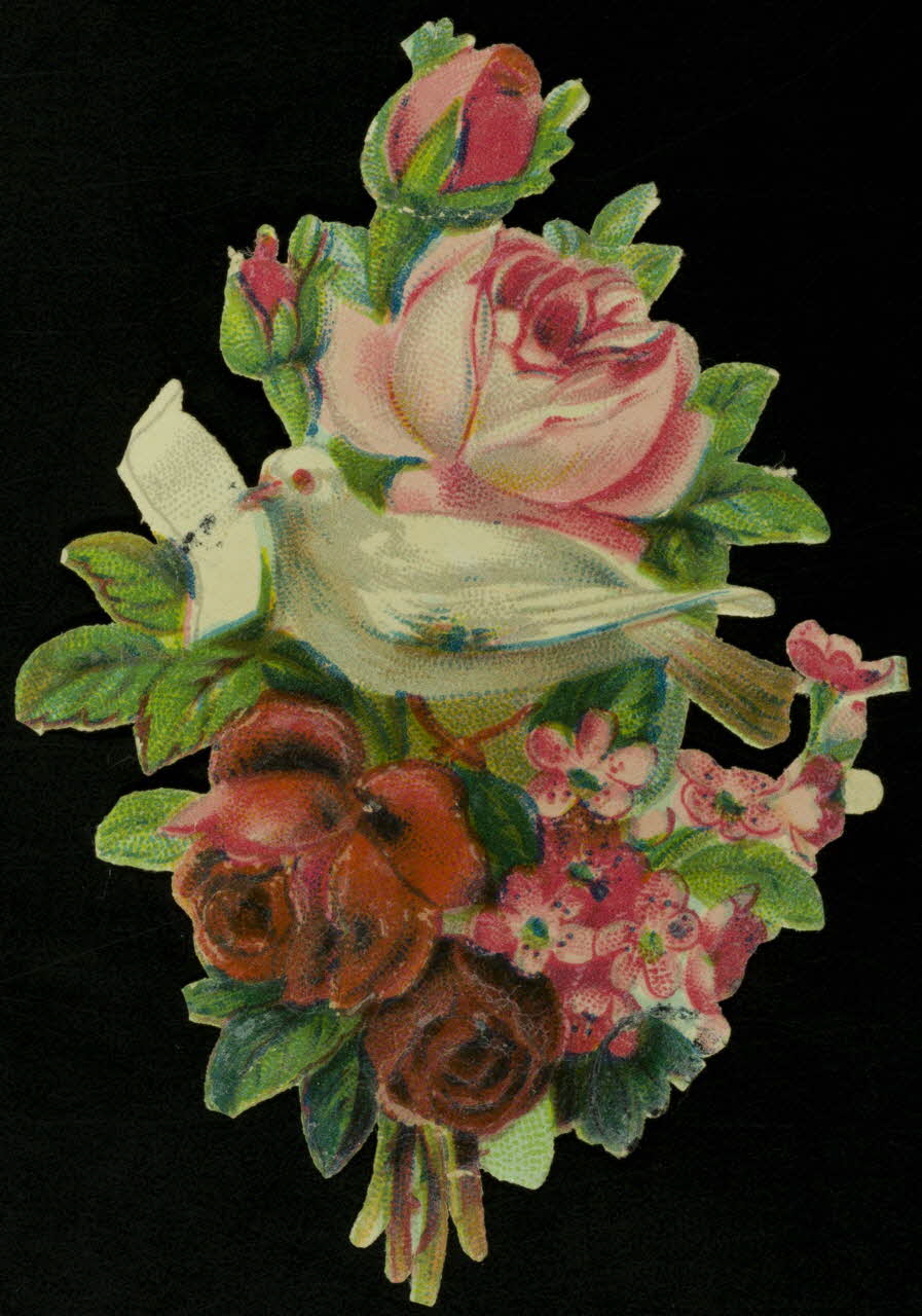 estampe Colombe dans un bouquet de fleurs 1942.26.328 Photo