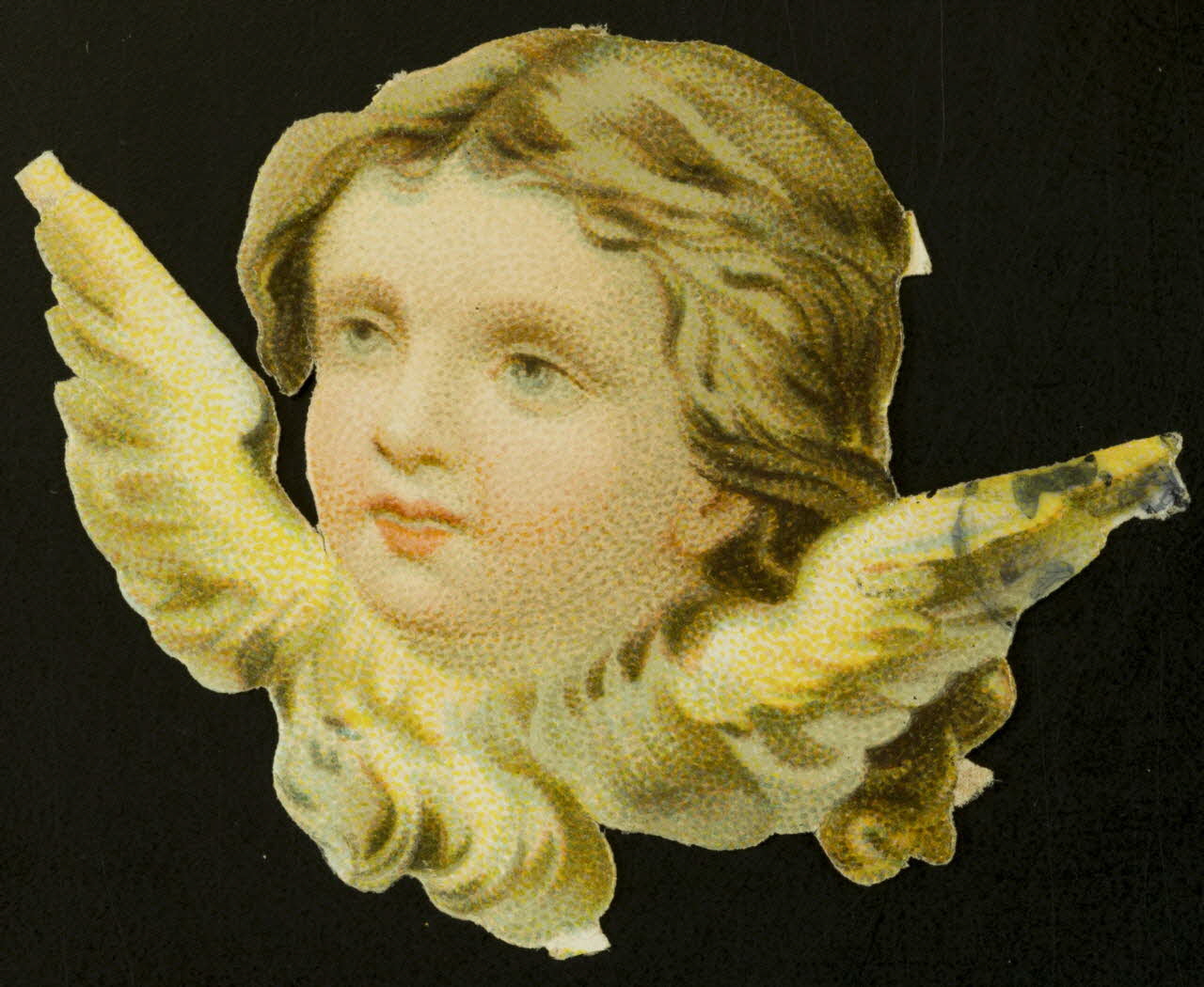 estampe Tête d'ange 1942.26.357 Photo