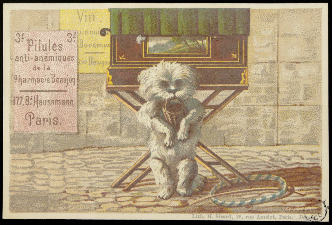 carte réclame Chien acrobate 1942.26.37 Photo