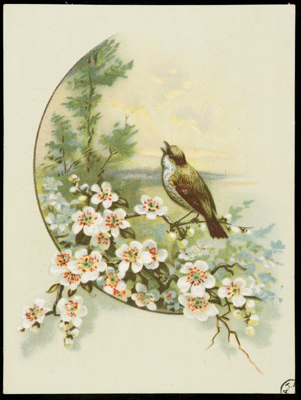 carte réclame chromo 1942.26.403 Photo