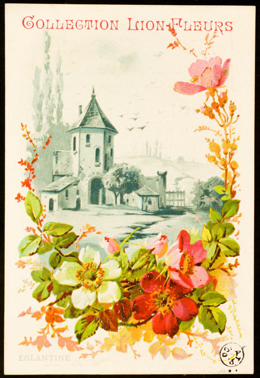carte réclame chromo 1942.26.539 Photo