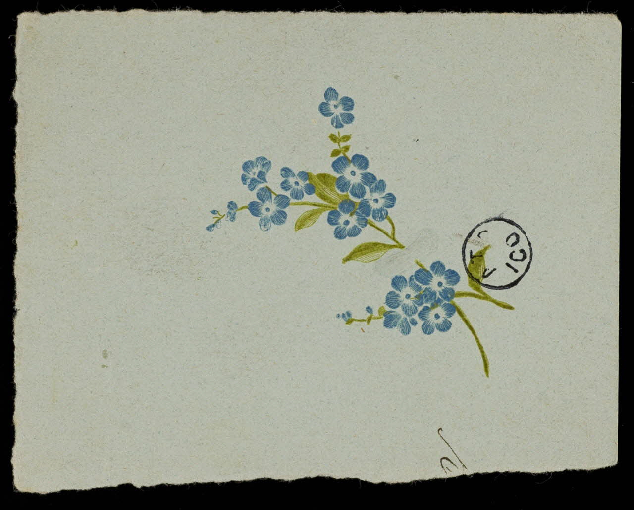 papier à lettre En-tête de lettre : myosotis 1942.26.603 Photo