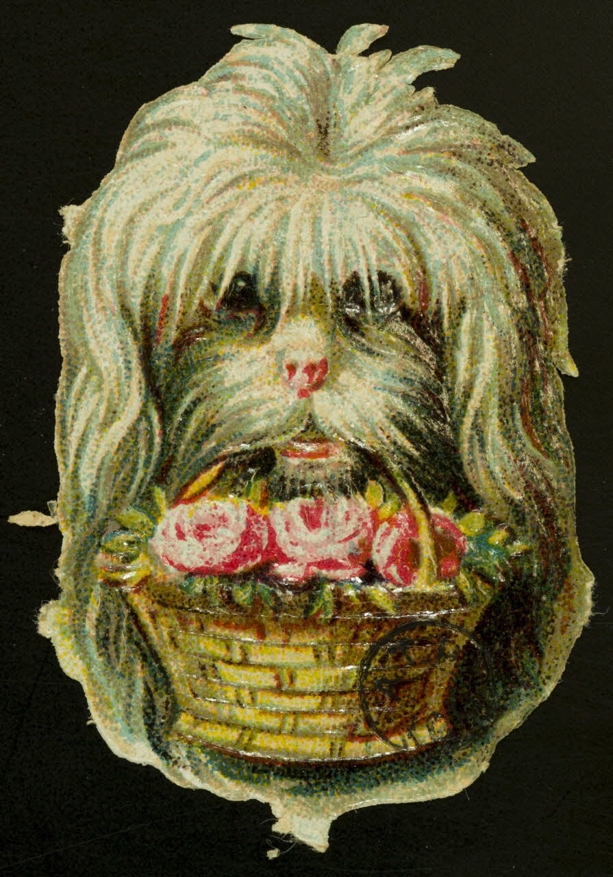 estampe Chien tenant un panier de fleurs dans sa gueule 1942.26.658 Photo