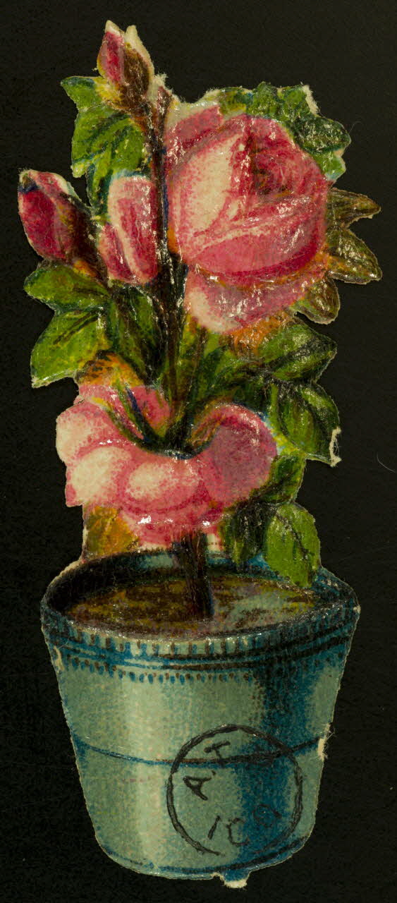 estampe Roses en pot 1942.26.664 Photo