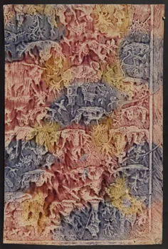 estampe Papier marbré 1942.3.237 Photo