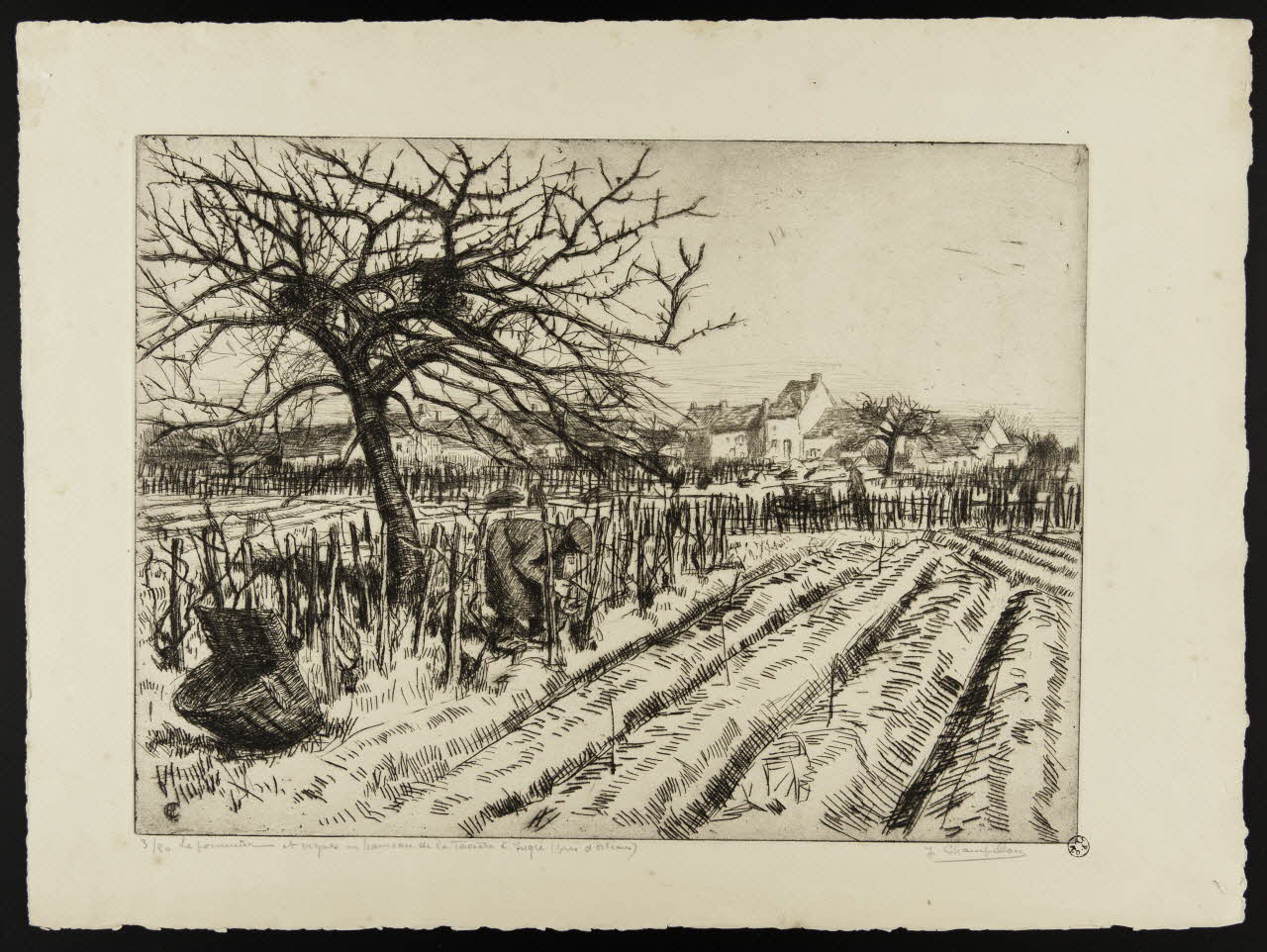 estampe Le Pommier et vignes 1942.7.5 Photo
