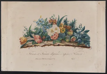 A. Noël estampe Fleurs et Fruits dessinés d'après Nature. Paris 1805-1815 1943.16.146  Photo