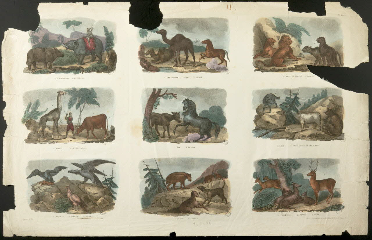 Langlumé J. ; Peltier planche Neuf scènes animalières Paris 1837 1943.16.338 Photo