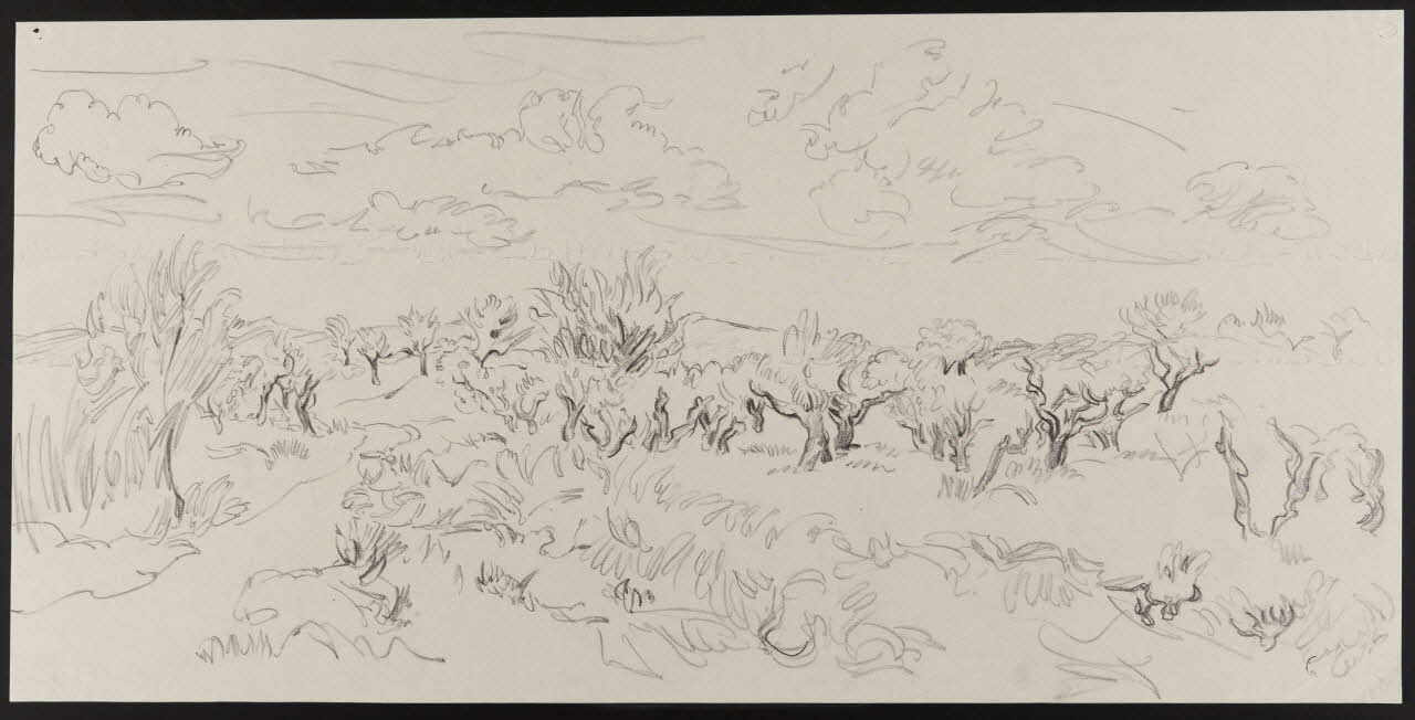 André Jordan dessin Champ d'oliviers à Mouries (Bouches-du-Rhône) 1943 1943.19.40 Photo