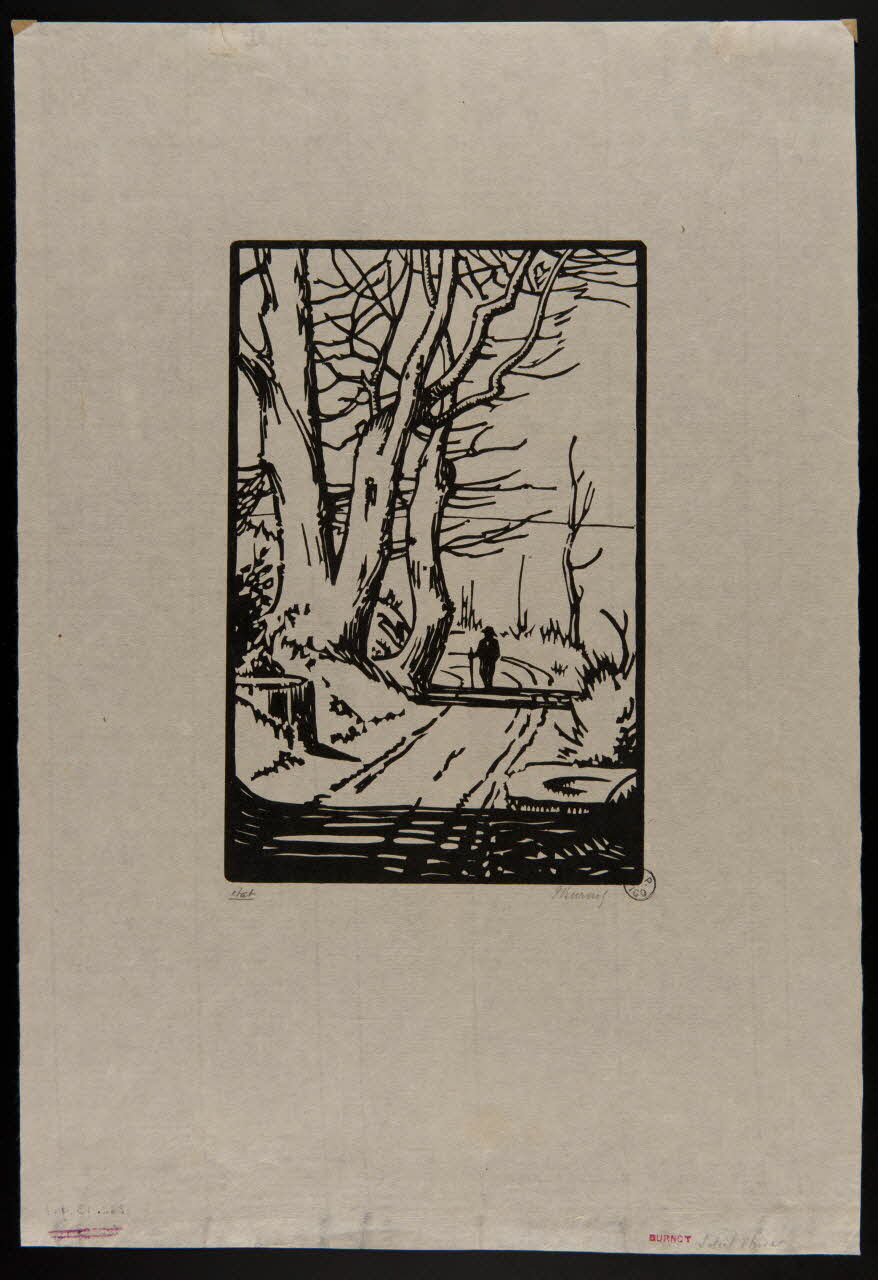 partie d'ensemble Soleil d'hiver 1943.9.1 Photo