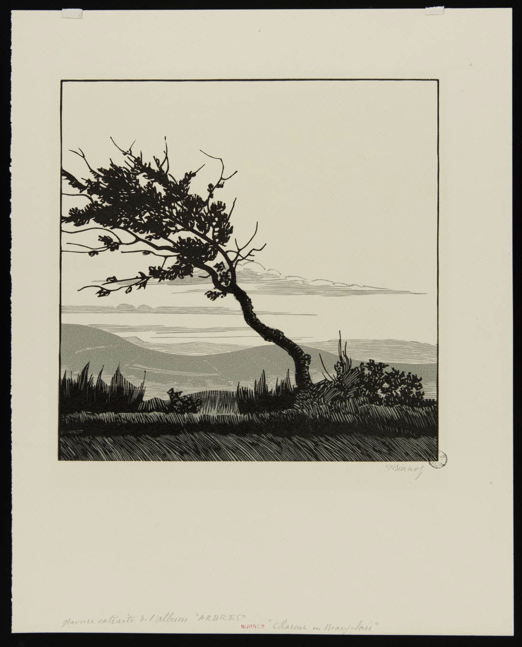 Philippe Burnot partie d'ensemble "Charme en Beaujolais" 1932 1943.9.2 Photo