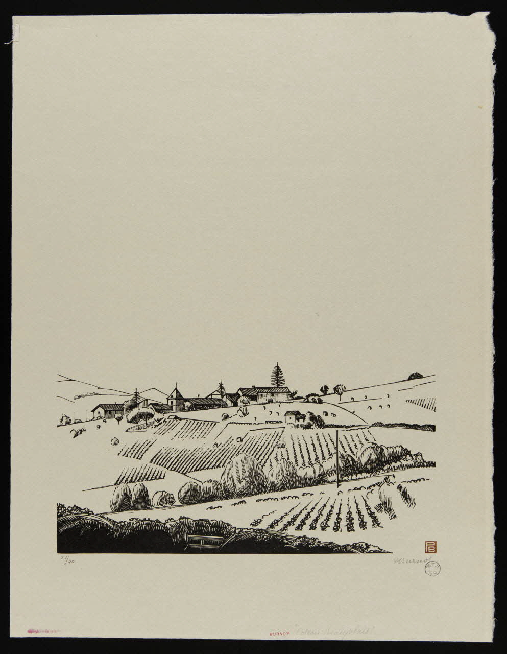 partie d'ensemble "Coteau Beaujolais" 1943.9.7 Photo