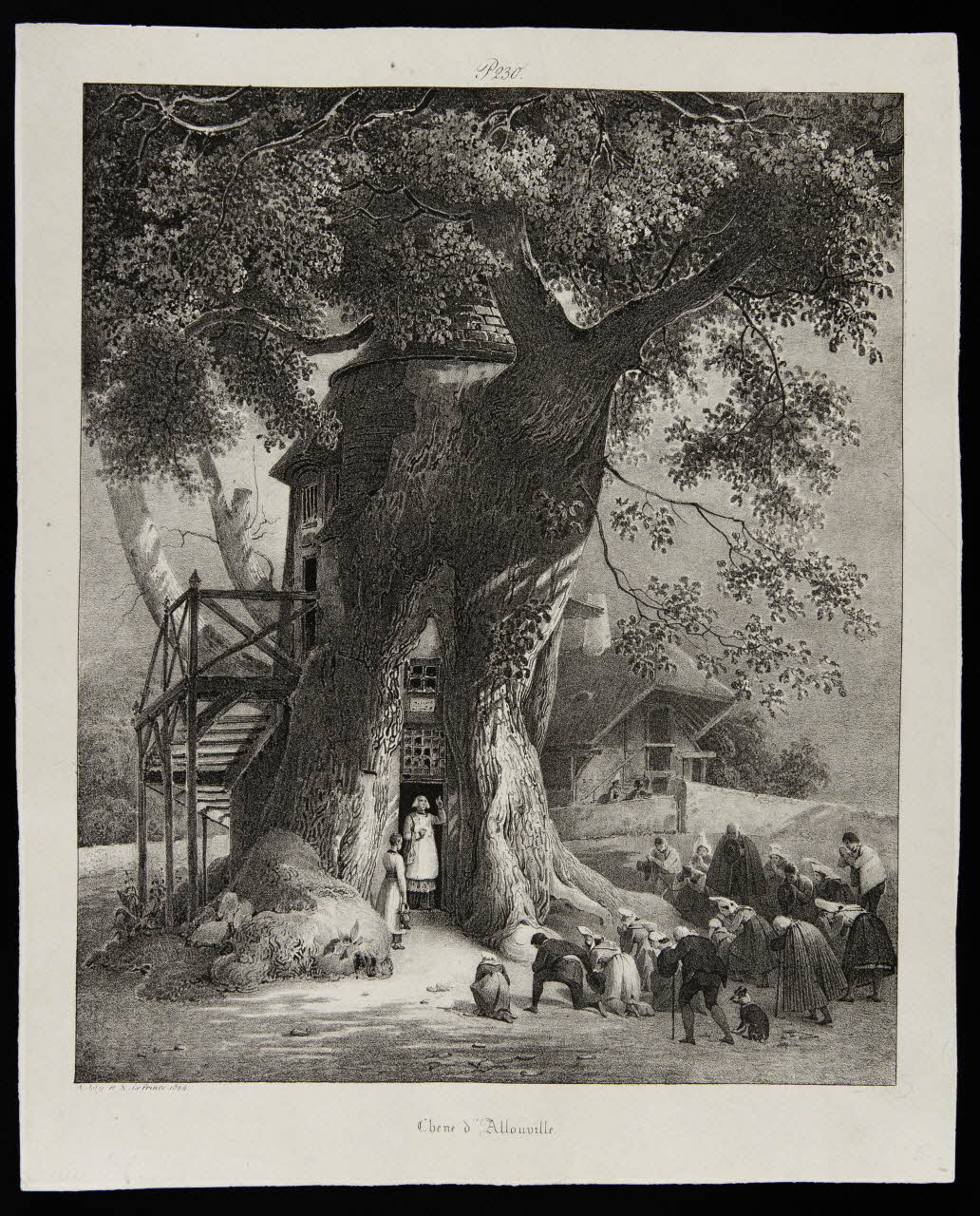 Joly Alexis Victor ; Auguste Xavier Leprince illustration Chene d'Allouville. 1824 1944.2.143 Photo
