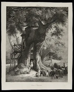 Joly Alexis Victor ; Auguste Xavier Leprince illustration Chene d'Allouville. 1824 1944.2.143  Photo