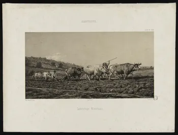 Anastasi Auguste ; Bonheur Rosa ; Bertauts estampe Labourage Nivernais 1844-1854 1944.2.181 Photo