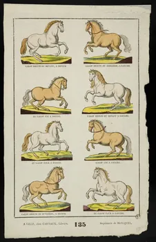 Henri Josué Porret ; Désiré ; Jean-Baptiste Castiaux ; Blocq imagerie ancienne Chevaux au galop Lille 1809-1837 1944.9.2 Photo