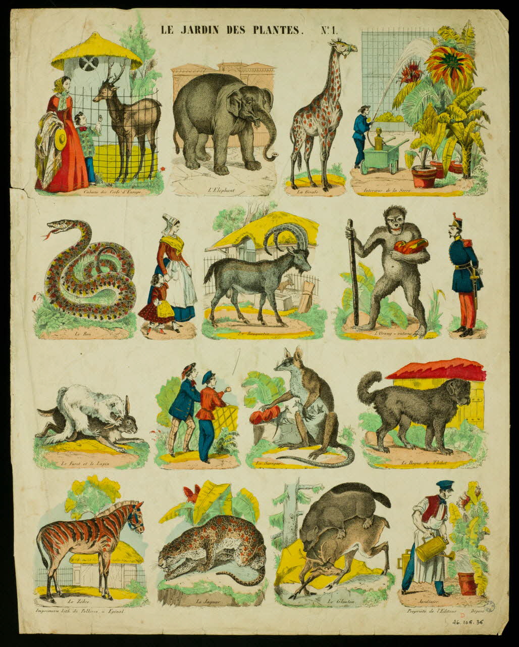 estampe LE JARDIN DES PLANTES. 1946.166.36 Photo