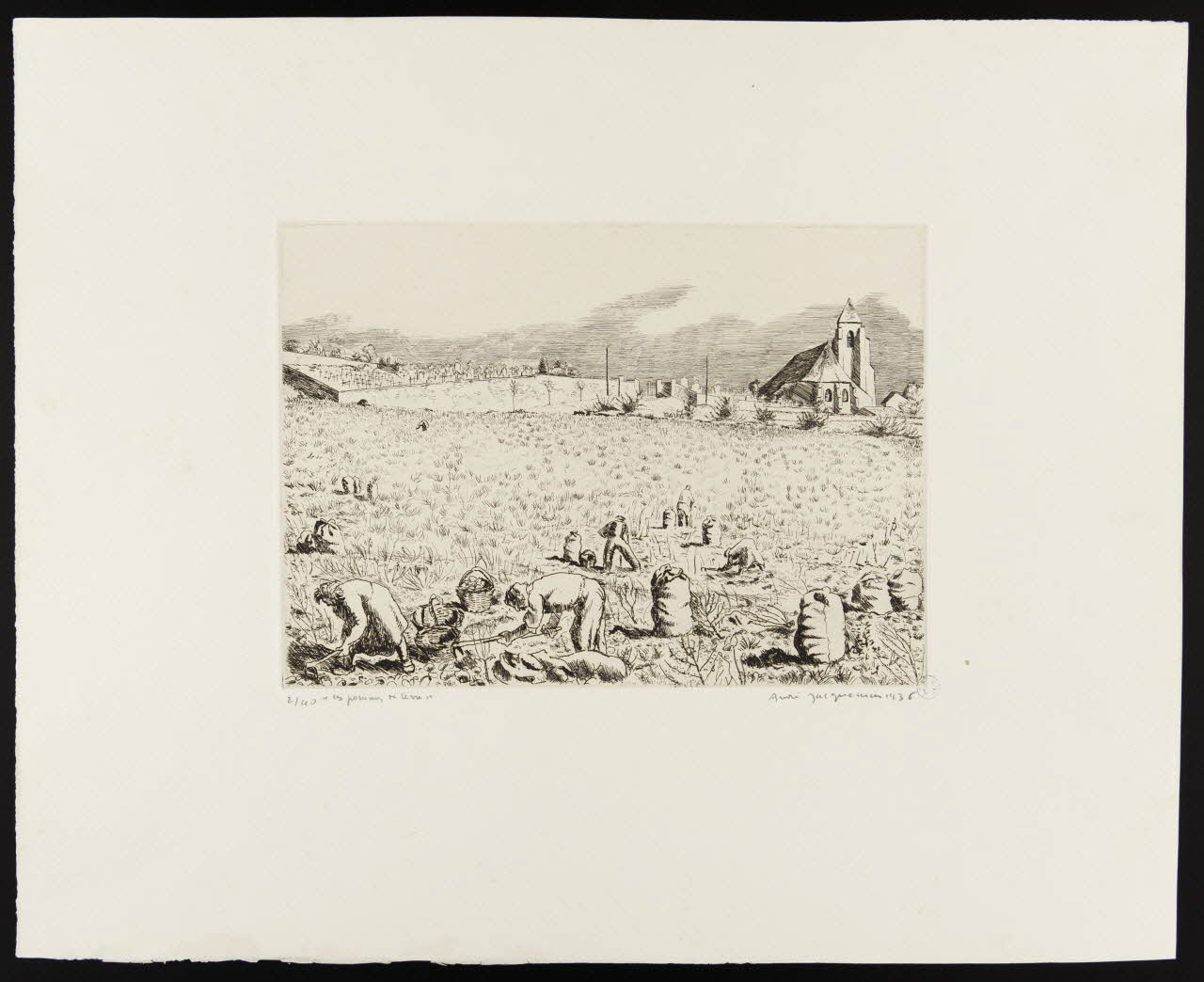 estampe "les pommes de terre" 1946.5.35 Photo