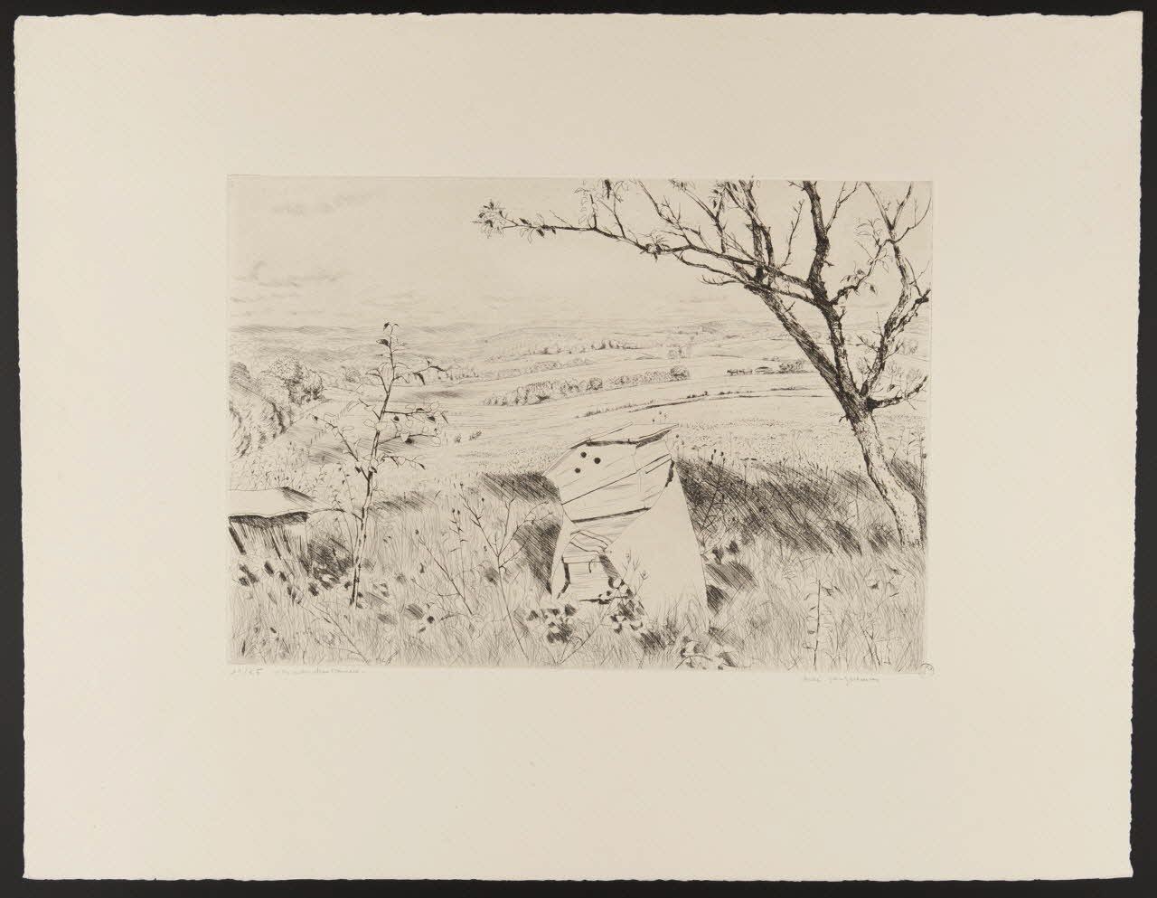 estampe "les ruches abandonnées" 1946.5.7 Photo