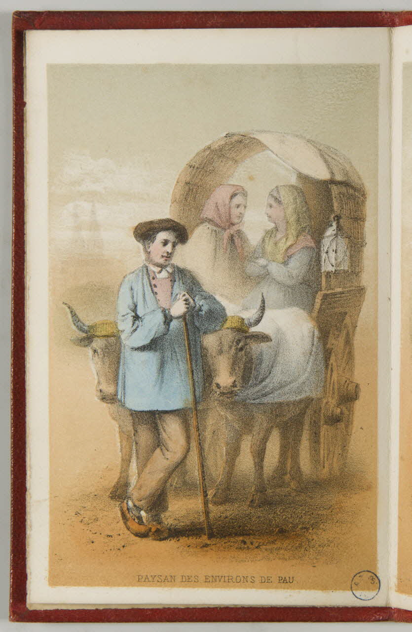 album PAYSAN DES ENVIRONS DE PAU. 1946.83.3.5 Photo