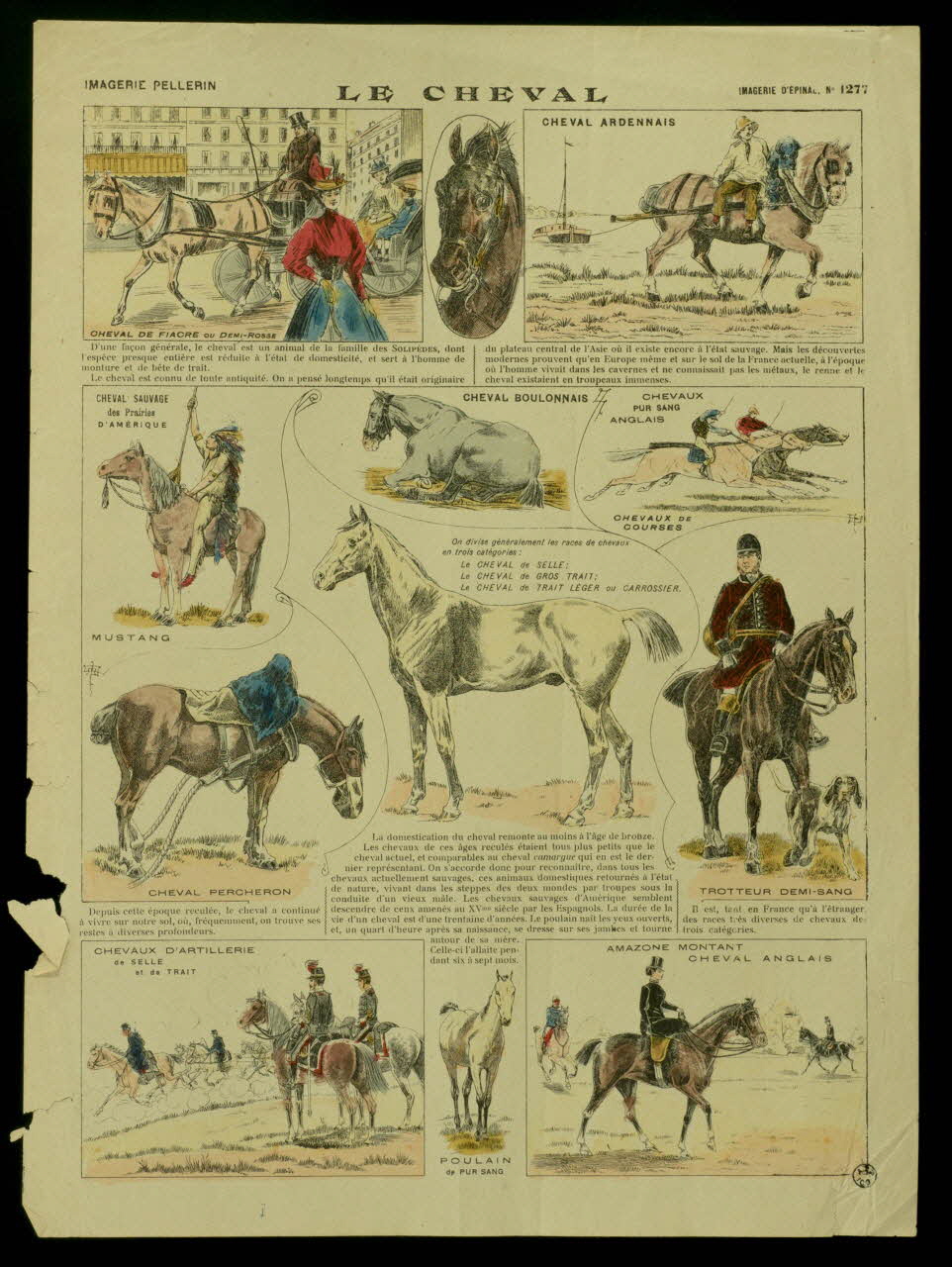 Pellerin à compartiments : irréguliers (3x4) LE CHEVAL Lorraine, France 1890 1950.21.178 Photo