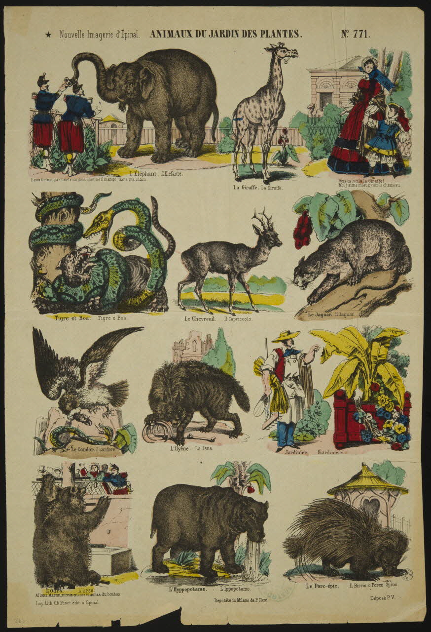 François-Charles Pinot à compartiments (3x3) ANIMAUX DU JARDIN DES PLANTES. Lorraine, France 1872-1874 1950.21.235 Photo