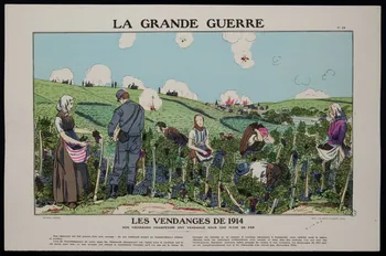 estampe LA GRANDE GUERRE  LES VENDANGES DE 1914 1950.39.1527 Photo