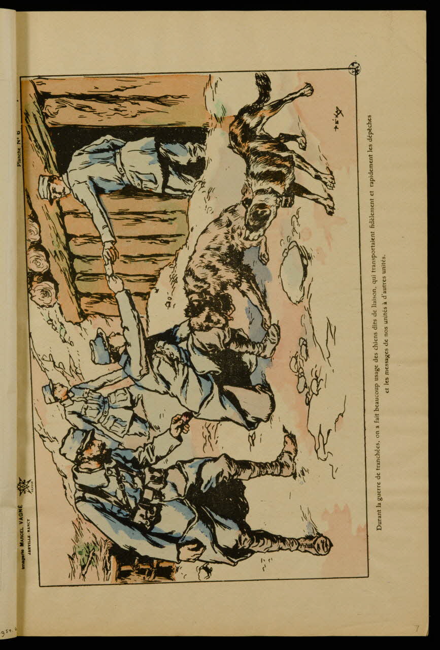 album Scène de transmission de message par des chiens 1950.39.1954.7 Photo