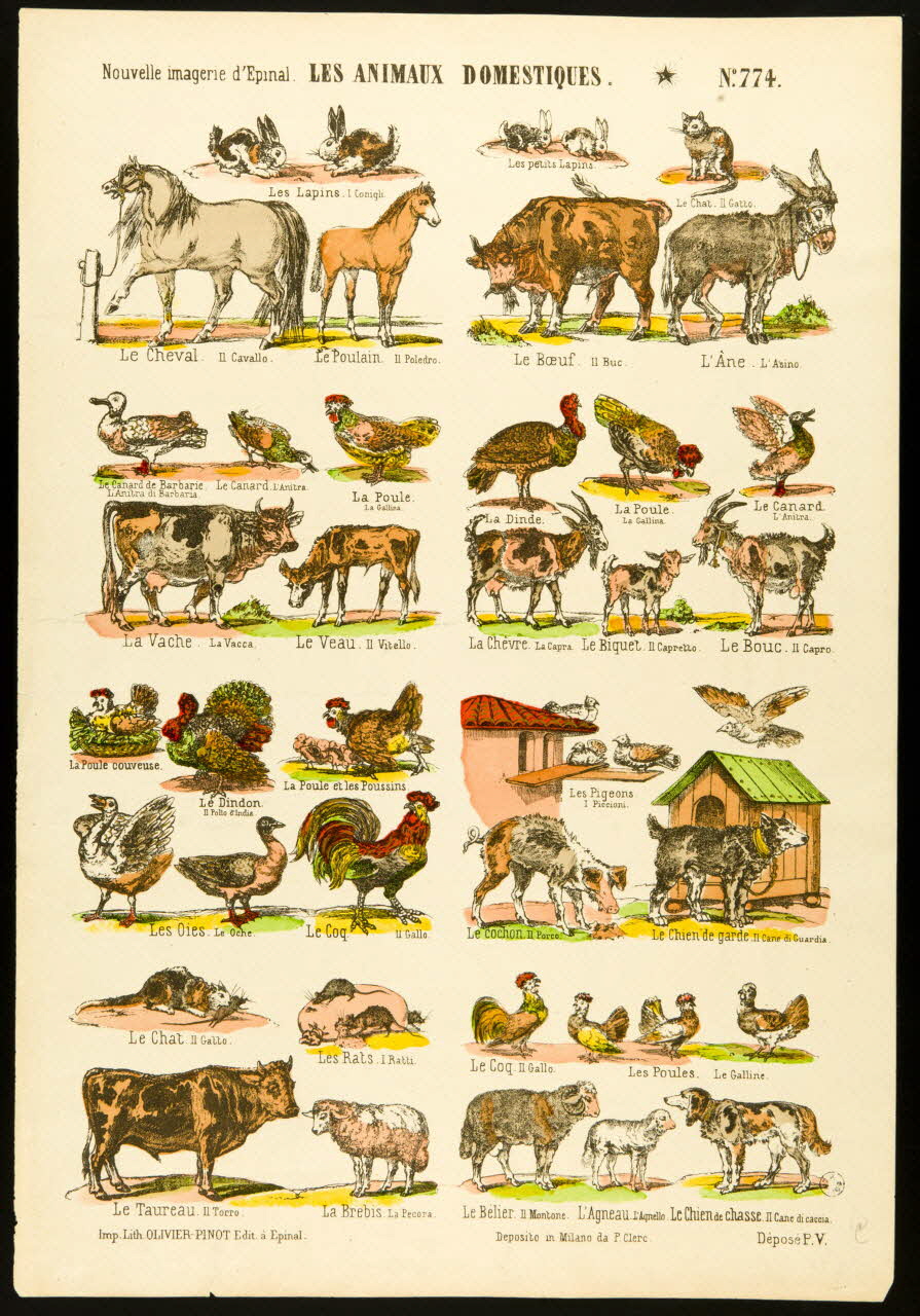 estampe LES ANIMAUX DOMESTIQUES. 1950.39.2571 Photo