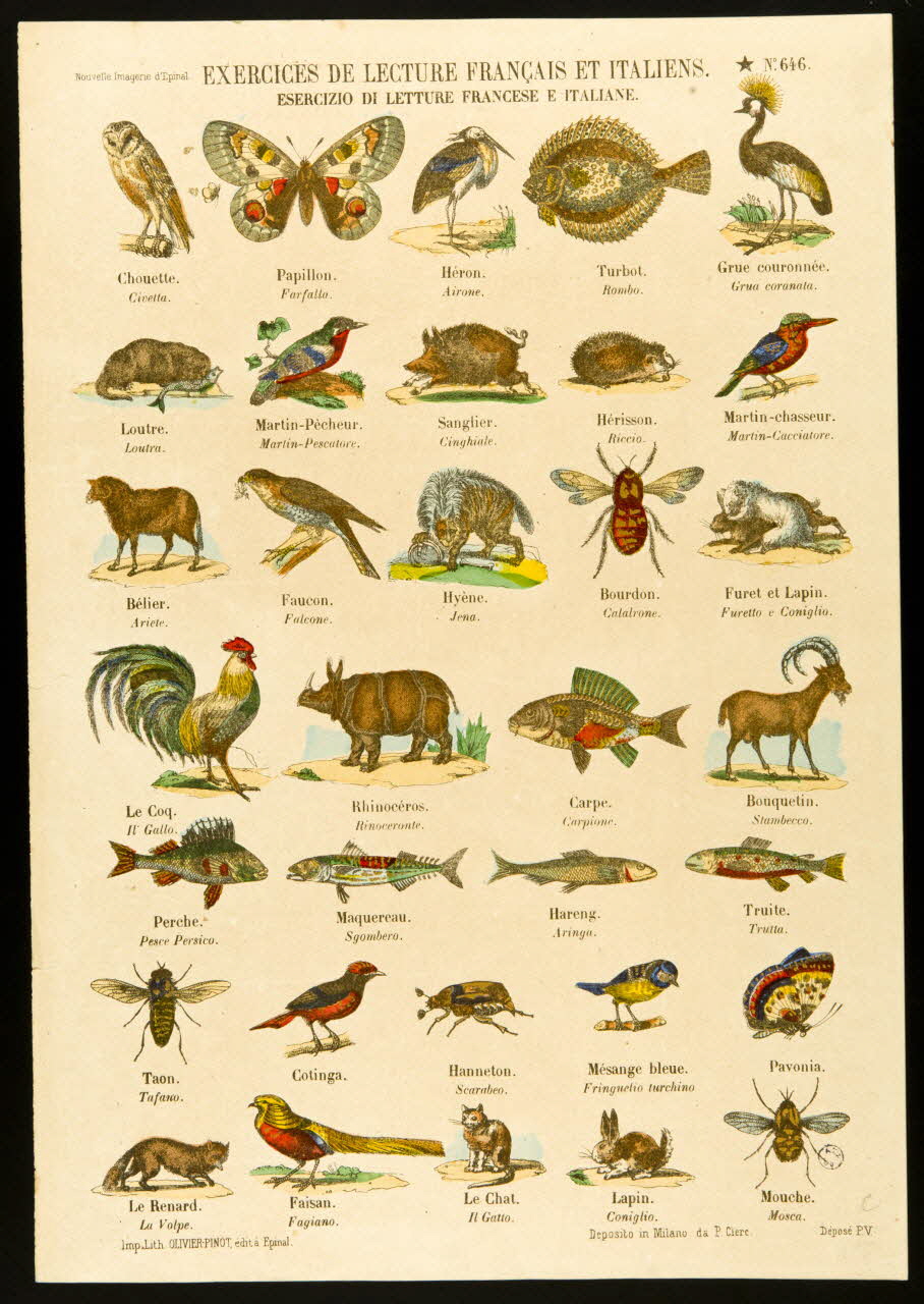 estampe EXERCICES DE LECTURES FRANCAIS ET ITALIENS. 1950.39.2572 Photo (c) Mucem