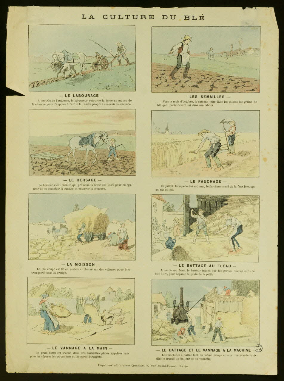 estampe LA CULTURE DU BLE 1950.39.2592 Photo