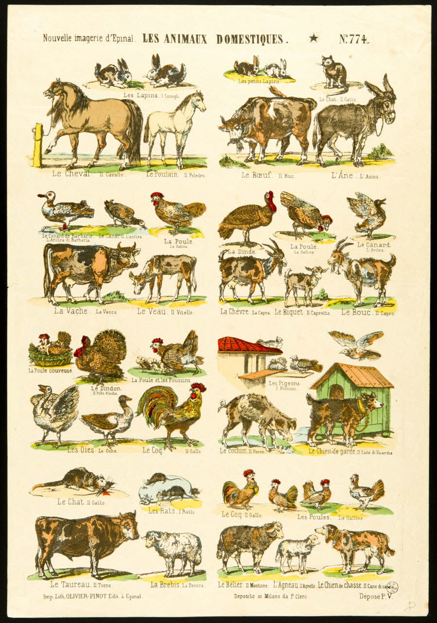 estampe LES ANIMAUX DOMESTIQUES. 1950.39.2682 Photo