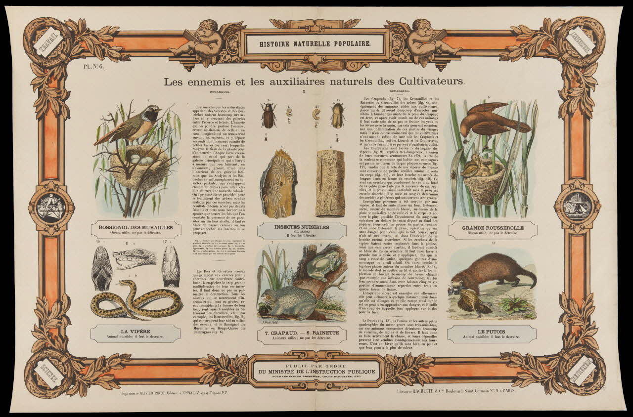 estampe HISTOIRE NATURELLE POPULAIRE.  Les ennemis et les auxilières naturels des Cultivateurs. 1950.39.2765 Photo