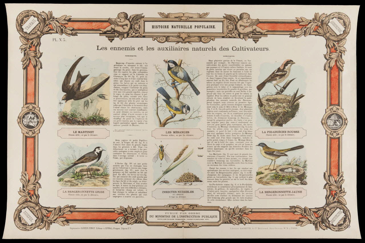 estampe HISTOIRE NATURELLE POPULAIRE.  Les ennemis et les auxilières naturels des Cultivateurs. 1950.39.2766 Photo