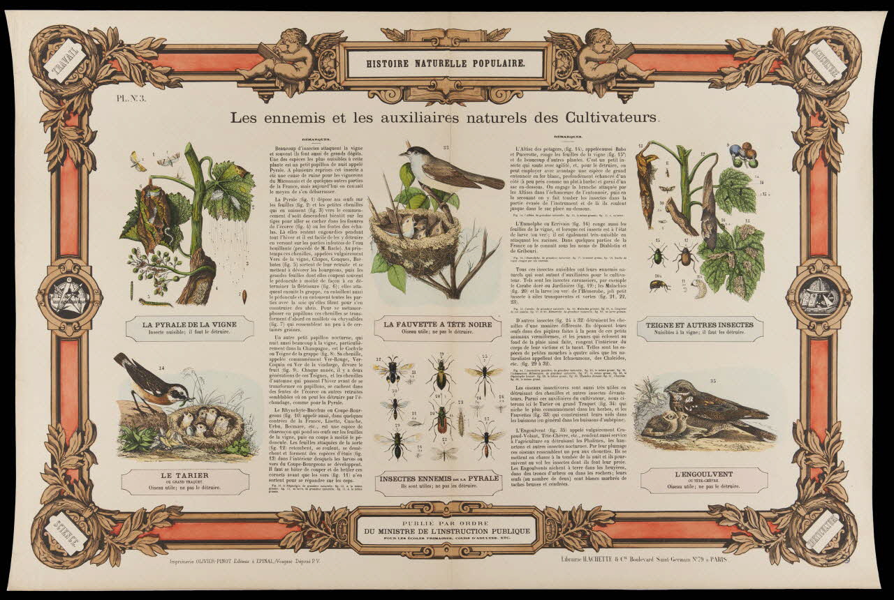 estampe HISTOIRE NATURELLE POPULAIRE.  Les ennemis et les auxilières naturels des Cultivateurs. 1950.39.2767 Photo