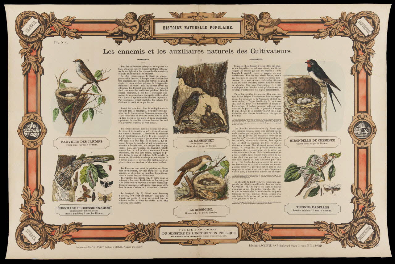 estampe HISTOIRE NATURELLE POPULAIRE.  Les ennemis et les auxilières naturels des Cultivateurs. 1950.39.2768 Photo