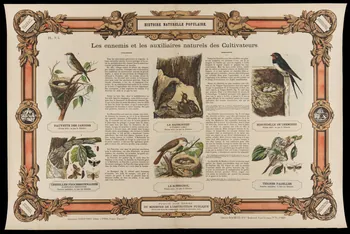 estampe HISTOIRE NATURELLE POPULAIRE.  Les ennemis et les auxilières naturels des Cultivateurs. 1950.39.2768 Photo