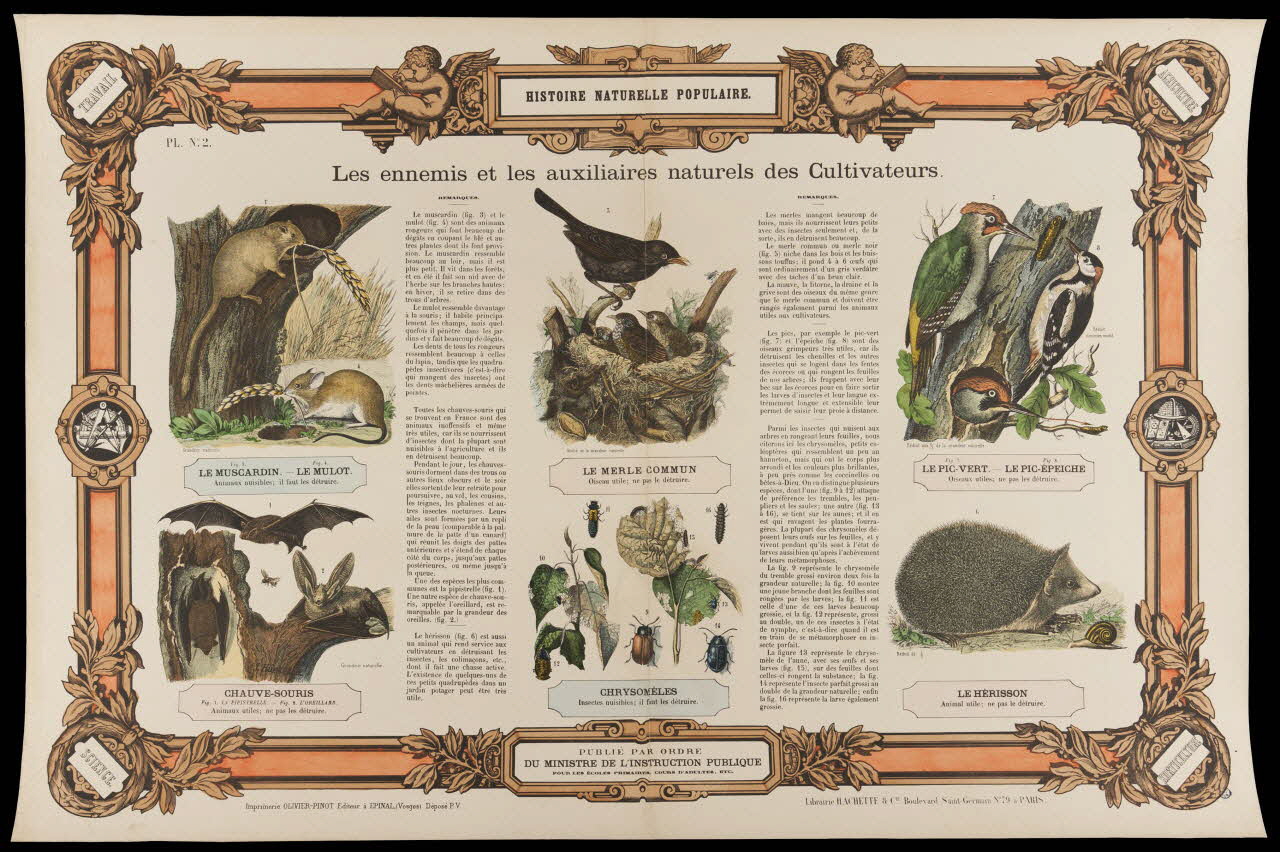 estampe HISTOIRE NATURELLE POPULAIRE.  Les ennemis et les auxiliaires naturels des Cultivateurs. 1950.39.2769 Photo