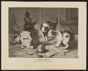 Reichert Karl estampe Furchtbare Katastrophe ! 1890 1950.9.322  Photo