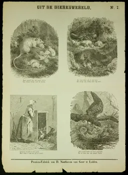 estampe UIT DE DIERENWERELD. 1951.16.325  Photo