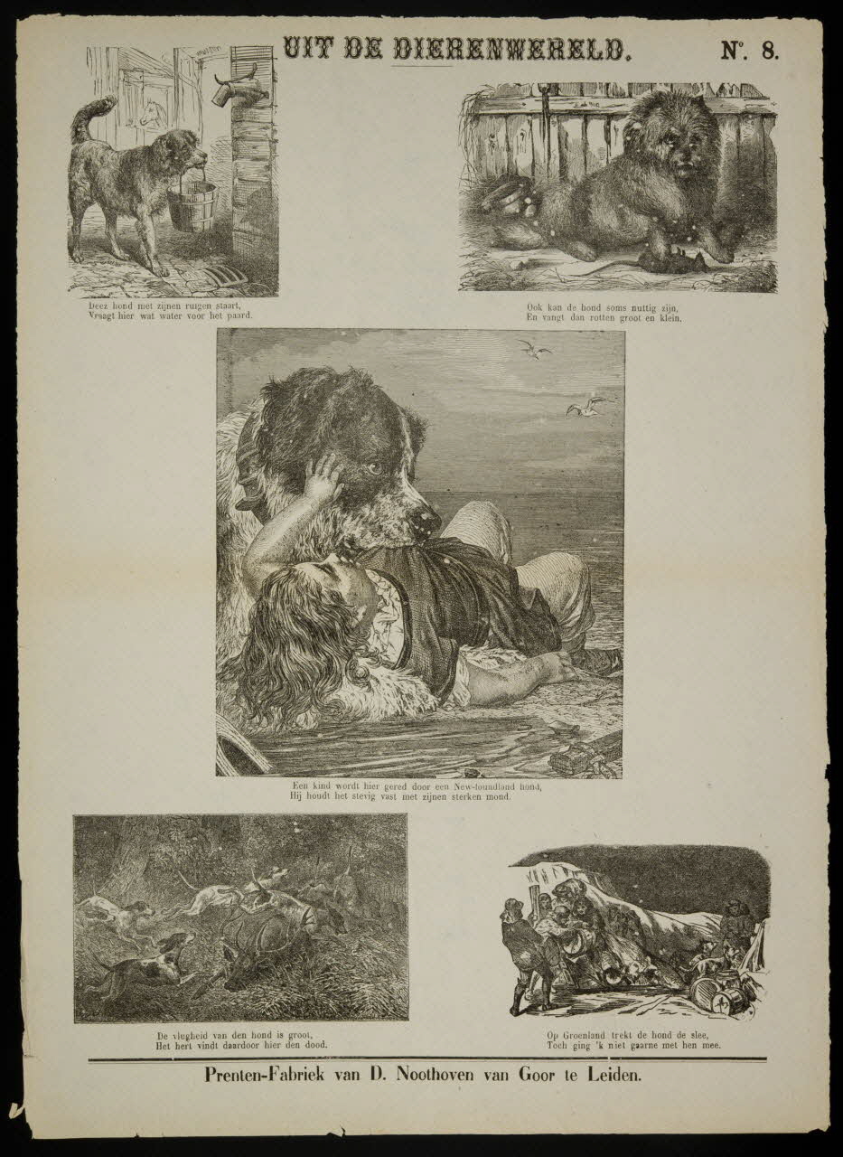 estampe UIT DE DIERENWERELD. 1951.16.326 Photo