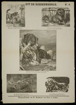 estampe UIT DE DIERENWERELD. 1951.16.326 Photo