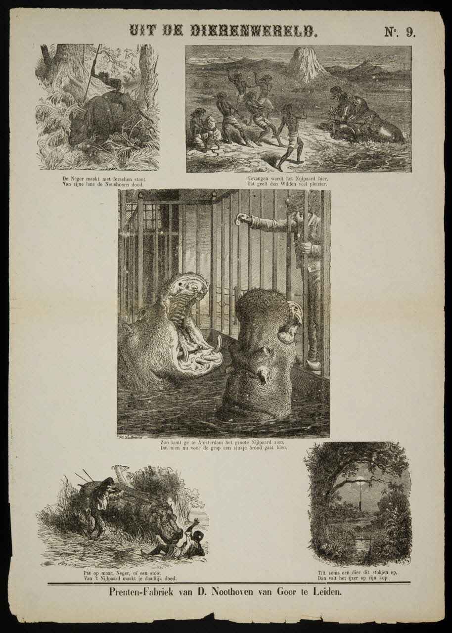 estampe UIT DE DIERENWERELD. 1951.16.327 Photo