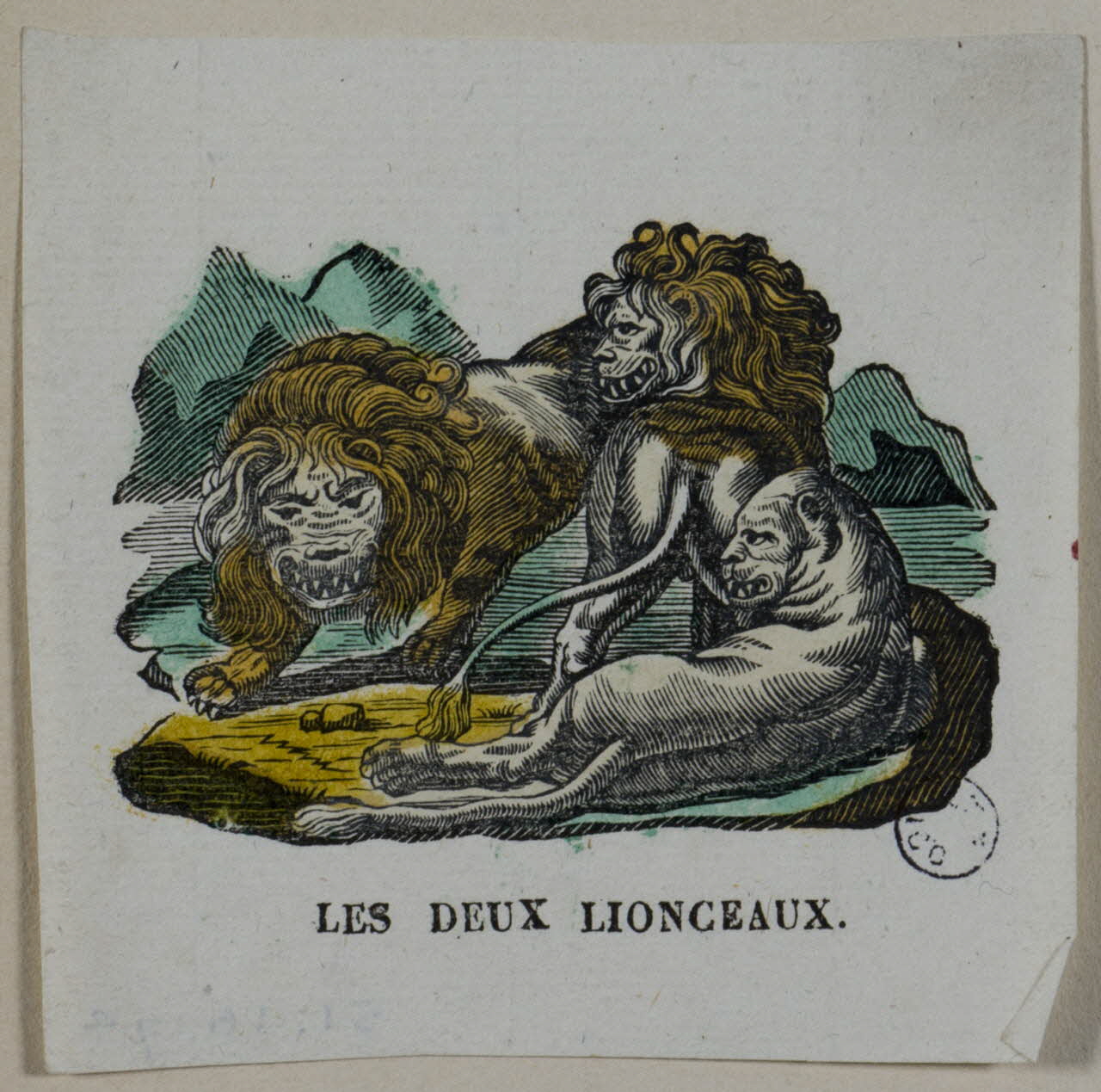 estampe LES DEUX LIONCEAUX. 1951.16.74 Photo